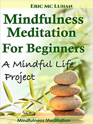cover image of Mindful Meditation for Beginners. Mindfulness Meditation
